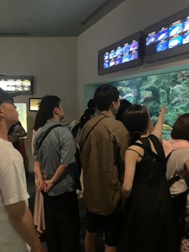 名古屋港水族館に投稿された画像（2024/7/28）