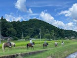 TANIMOTO HORSE RANCH（タニモトホースランチ）に投稿された画像（2024/7/28）