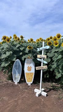 成田ゆめ牧場に投稿された画像（2024/7/28）