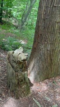 富士漫遊社に投稿された画像（2024/7/28）