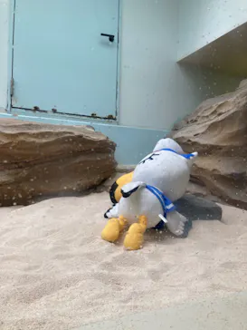 仙台うみの杜水族館に投稿された画像（2024/7/28）