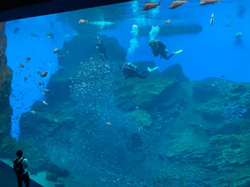 仙台うみの杜水族館に投稿された画像（2024/7/28）