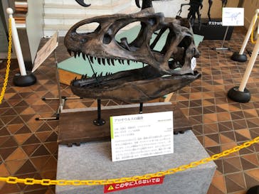 岐阜県博物館に投稿された画像（2024/7/28）