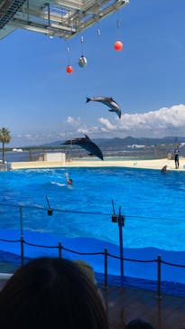 マリンワールド海の中道に投稿された画像（2024/7/28）