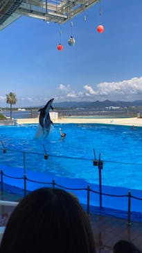 マリンワールド海の中道に投稿された画像（2024/7/28）