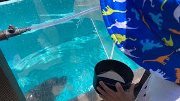 マリンワールド海の中道に投稿された画像（2024/7/28）