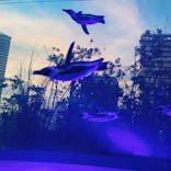 サンシャイン水族館に投稿された画像（2024/7/28）