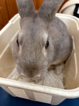 東武動物公園に投稿された画像（2024/7/28）