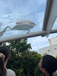 サンシャイン水族館に投稿された画像（2024/7/28）