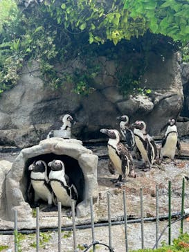サンシャイン水族館に投稿された画像（2024/7/28）