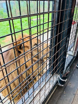 那須サファリパークに投稿された画像（2024/7/28）