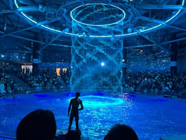 マクセル アクアパーク品川に投稿された画像（2024/7/28）