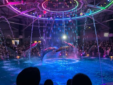 マクセル アクアパーク品川に投稿された画像（2024/7/28）