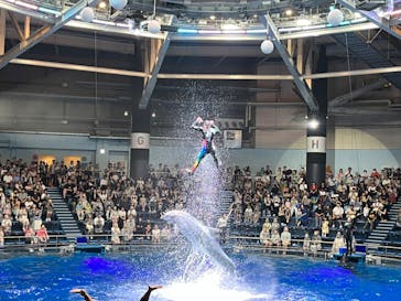 マクセル アクアパーク品川に投稿された画像（2024/7/28）