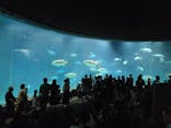 葛西臨海水族園に投稿された画像（2024/7/28）