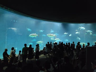 葛西臨海水族園に投稿された画像（2024/7/28）