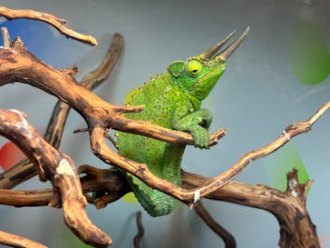 NARA IKIMONO MUSEUMに投稿された画像（2024/7/28）