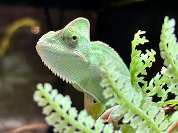 NARA IKIMONO MUSEUMに投稿された画像（2024/7/28）