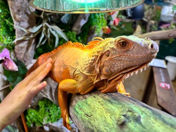 NARA IKIMONO MUSEUMに投稿された画像（2024/7/28）