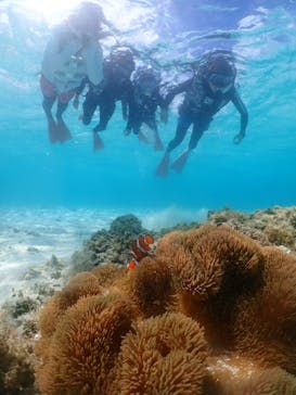 タビワク　宮古島に投稿された画像（2024/7/28）