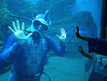 仙台うみの杜水族館に投稿された画像（2024/7/28）