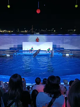 仙台うみの杜水族館に投稿された画像（2024/7/28）