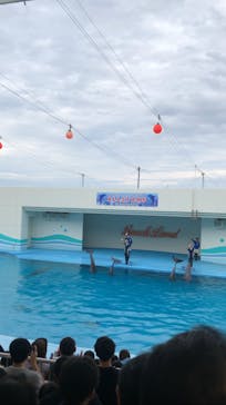 南知多ビーチランド＆南知多おもちゃ王国に投稿された画像（2024/7/13）