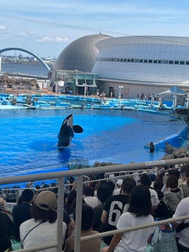 名古屋港水族館に投稿された画像（2024/7/28）