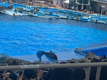 名古屋港水族館に投稿された画像（2024/7/28）