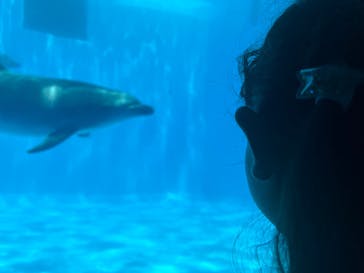 名古屋港水族館に投稿された画像（2024/7/28）