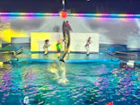 仙台うみの杜水族館に投稿された画像（2024/7/28）