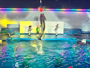 仙台うみの杜水族館に投稿された画像（2024/7/28）