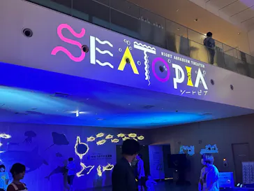 仙台うみの杜水族館に投稿された画像（2024/7/28）