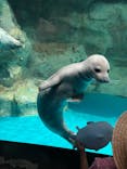 アクアワールド茨城県大洗水族館に投稿された画像（2024/7/28）