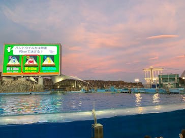 名古屋港水族館に投稿された画像（2024/7/28）