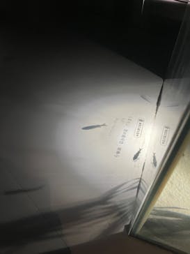 NIFREL（ニフレル）に投稿された画像（2024/7/28）