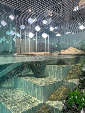 NIFREL（ニフレル）に投稿された画像（2024/7/28）