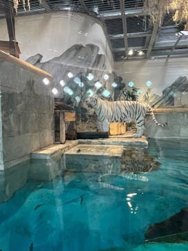 NIFREL（ニフレル）に投稿された画像（2024/7/28）