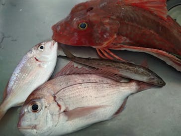 サルワーレ（周防大島店）に投稿された画像（2024/7/28）