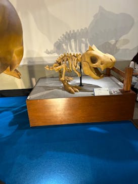 岐阜県博物館に投稿された画像（2024/7/28）