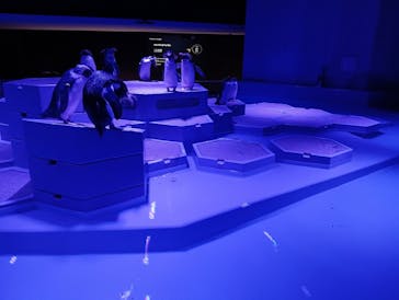 AOAO SAPPOROに投稿された画像（2024/7/28）