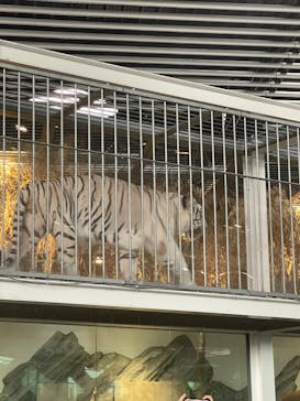 NIFREL（ニフレル）に投稿された画像（2024/7/28）