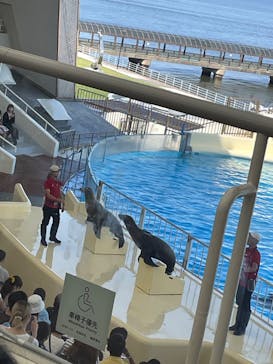 マリンワールド海の中道に投稿された画像（2024/7/28）