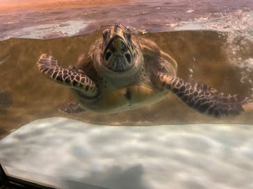 マリンワールド海の中道に投稿された画像（2024/7/28）