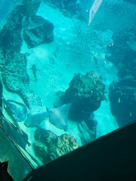 マリンワールド海の中道に投稿された画像（2024/7/28）