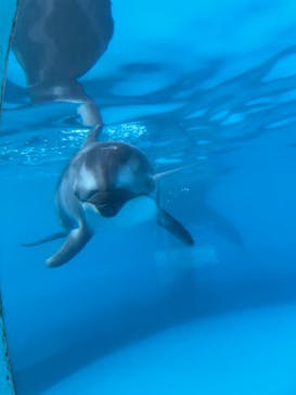 マリンワールド海の中道に投稿された画像（2024/7/28）