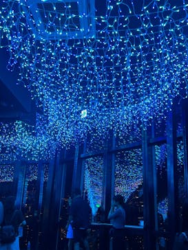 東京タワーに投稿された画像（2024/7/28）