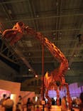 巨大恐竜展2024に投稿された画像（2024/7/29）