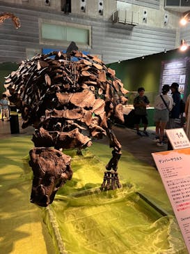巨大恐竜展2024に投稿された画像（2024/7/28）