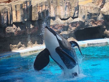 名古屋港水族館に投稿された画像（2024/7/28）